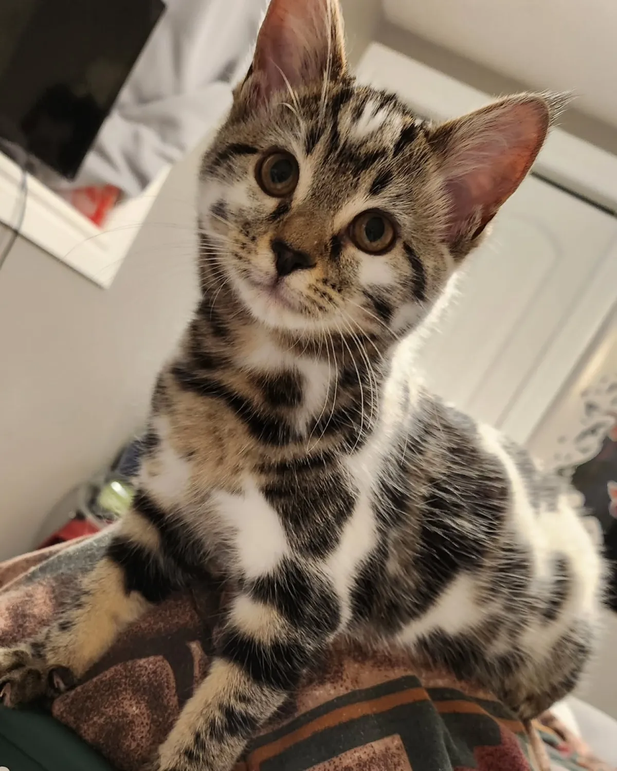 Casper
