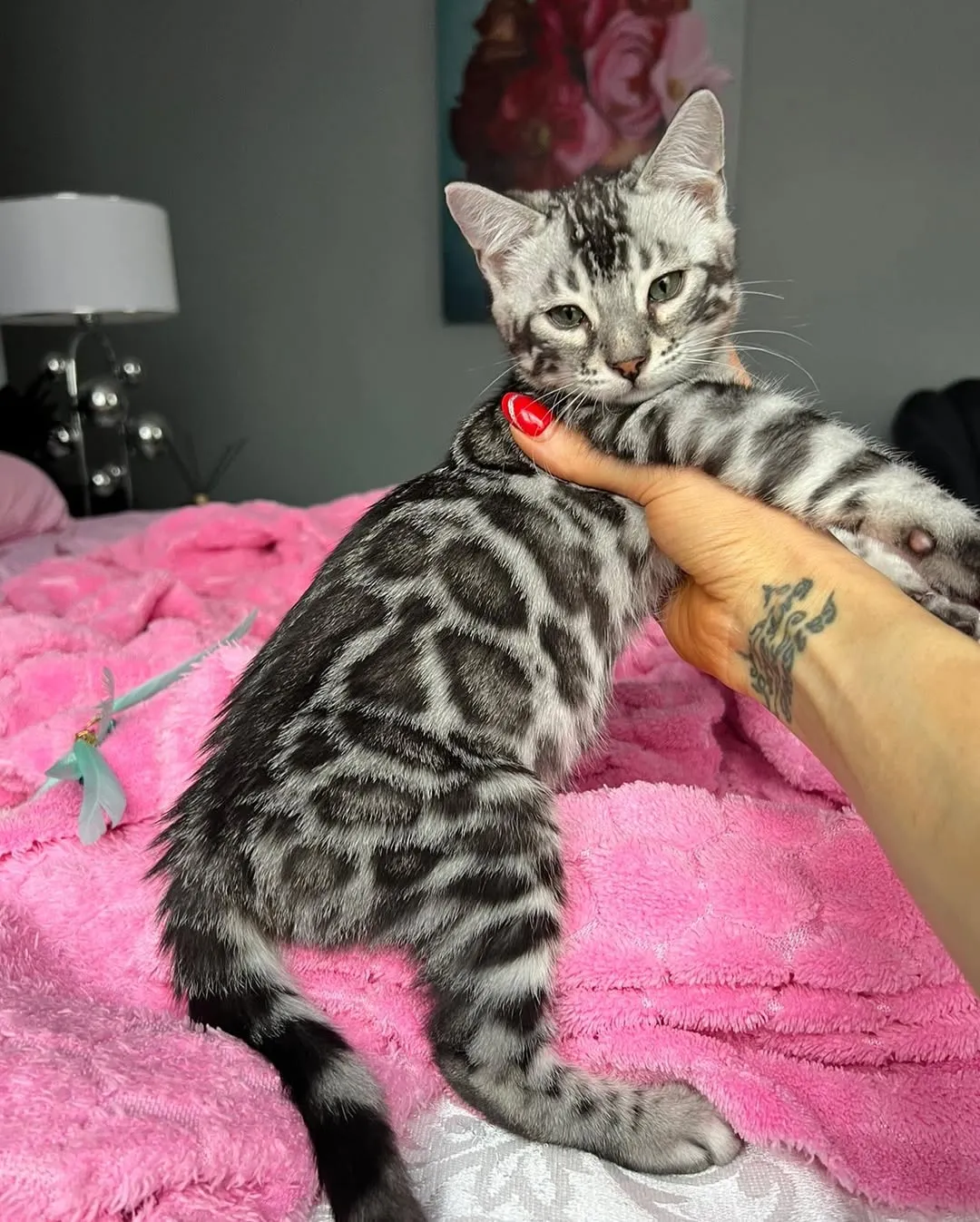 Ella